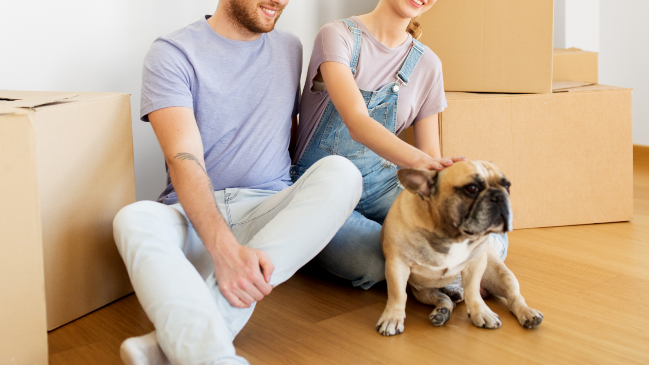 How to move house with your pet - realestate.com.au How to move house with your pet - realestate.com.au