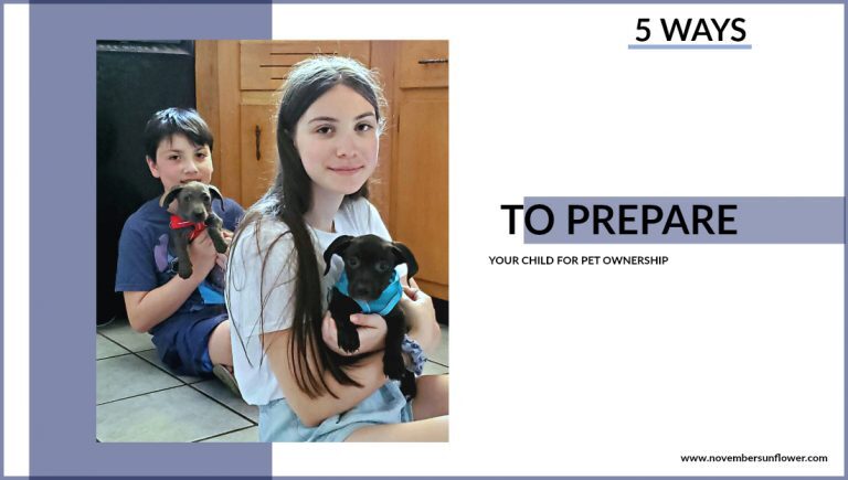 How to Prepare Your Children for Pet Ownership | November Sunflower How to Prepare Your Children for Pet Ownership | November Sunflower