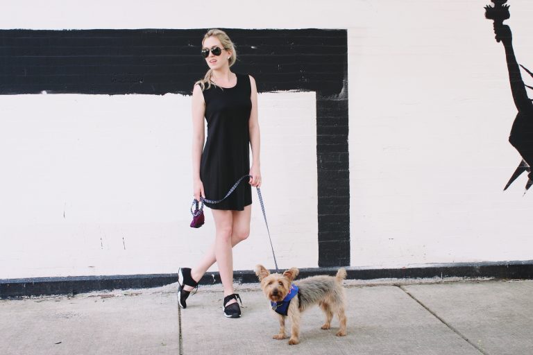 5 bad dog habits and how to break them – Artofit 5 bad dog habits and how to break them – Artofit