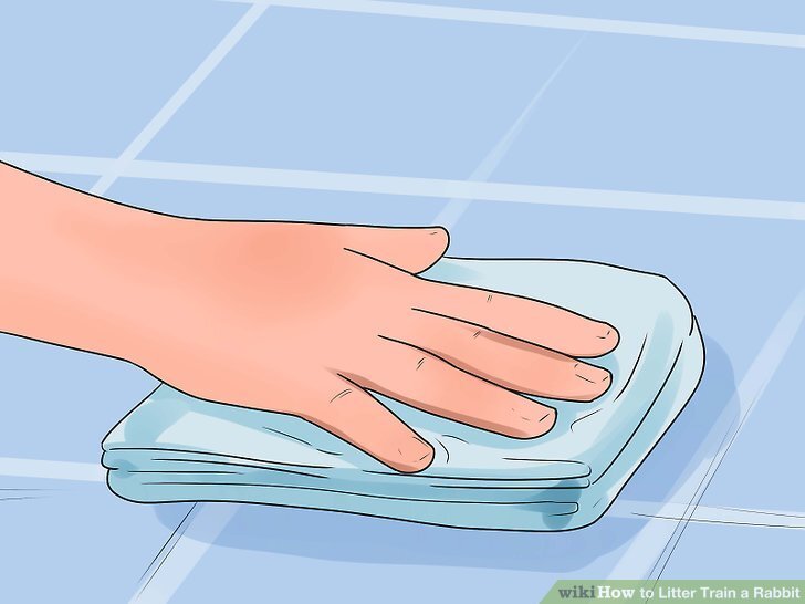 How to Litter Train a Rabbit (with Pictures) - wikiHow How to Litter Train a Rabbit (with Pictures) - wikiHow
