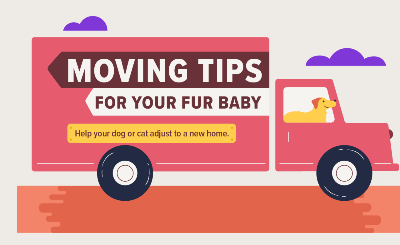 Tips that will Help you to Move your Pets to their New Home Tips that will Help you to Move your Pets to their New Home