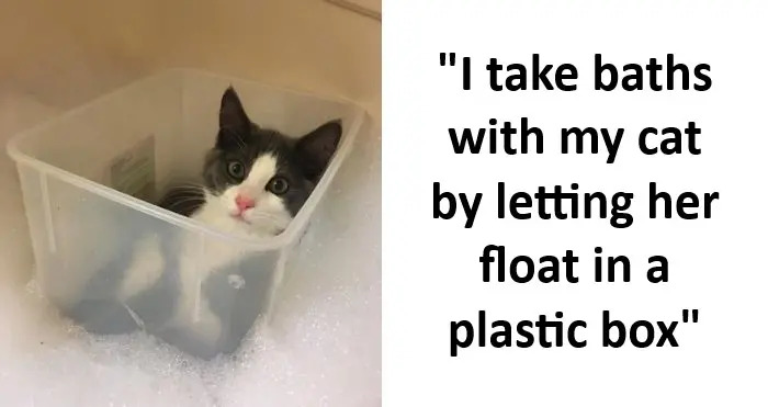 40 Pets That Accidentally Learnt An Unusual Skill Or Habit And Won't Stop 40 Pets That Accidentally Learnt An Unusual Skill Or Habit And Won't Stop