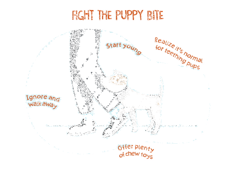 Stop Your Puppy From Biting and Nipping – Doggie Joy Stop Your Puppy From Biting and Nipping – Doggie Joy