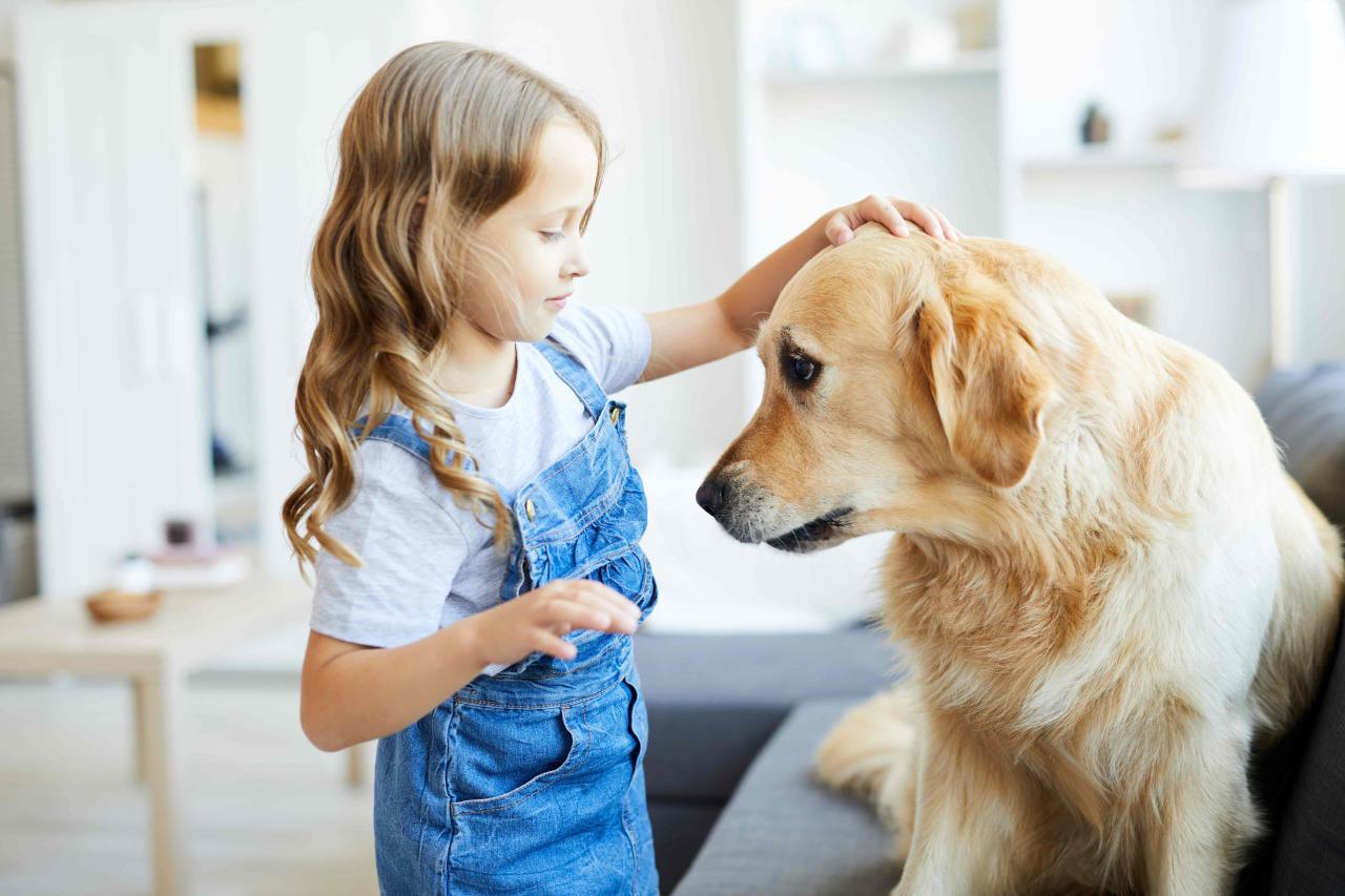 Teach Kids to Safely Interact with Pets - Andes-Straley Teach Kids to Safely Interact with Pets - Andes-Straley